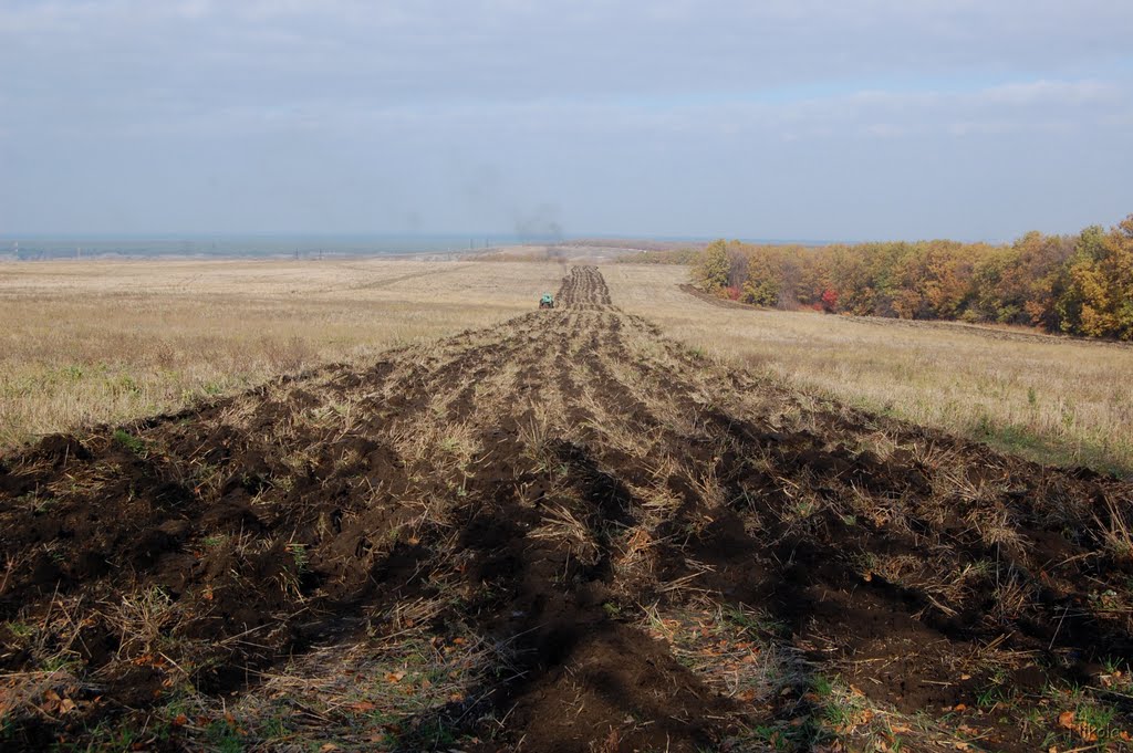 Единица будущего урожая 5 букв. Поселок зябь в 2010 году. Белогоровка поле. Обвалование зяби. Белогоровка бои.