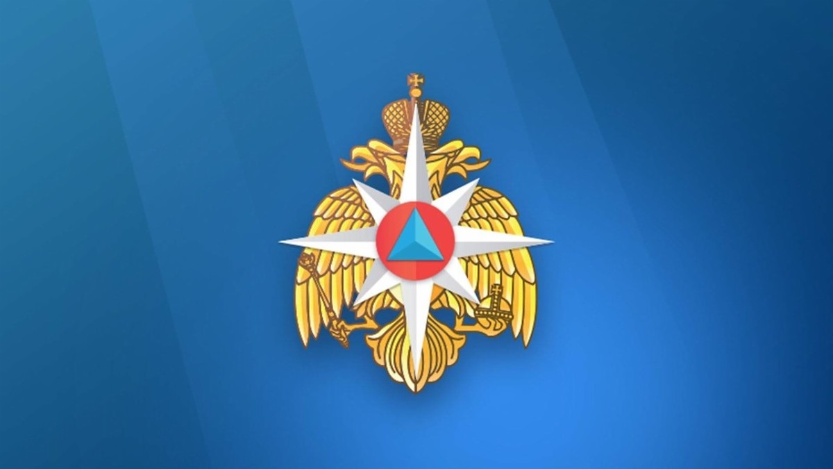 Уважаемые сотрудники и ветераны службы МЧС России! Сердечно поздравляем вас с профессиональным праздником – Днём спасателя!