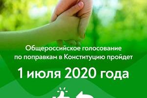 Какие поправки о семье и детях вынесены на голосование 1 июля?