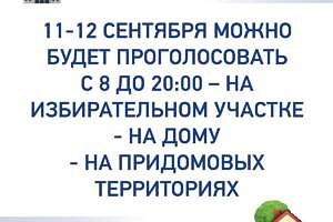 На территории ЕАО 11-13 сентября состоятся выборы губернатора региона. На избирательных участках будет безопасно. Маски, перчатки и одноразовые ручки выдадут каждому избирателю.